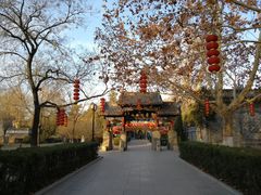 -大槐树寻根祭祖园