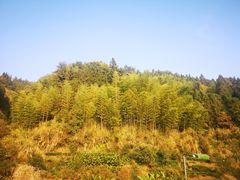 -塔川景区