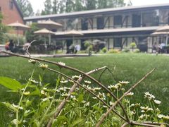 -一尺花园(安和花园店)