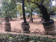 -西安秦岭野生动物园