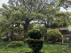 -普陀山雷迪森庄园