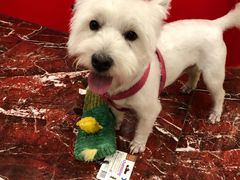 -多卡布奇宠物生活馆(上林世家店)