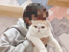 -滚猫咖啡·猫咖·猫友好撸猫(未来城店)