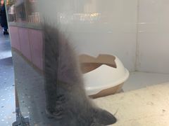 -龟与熊猫宠物公园(南坪店)