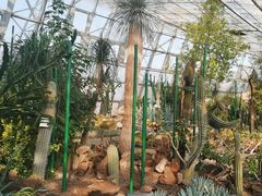 -北京植物园-展览温室