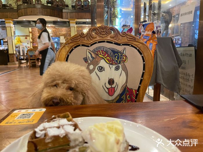more than meow吴止猫主题餐厅(承德 中船汇店)图片