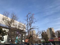 -爱家国际收藏品交流市场
