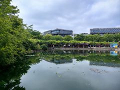 -嘉定紫藤园