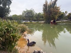 -湖泉半山温泉(湖泉生态园)