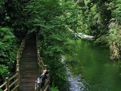 -广州市石门国家森林公园