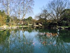 -西湖外事游船(花港观鱼码头)