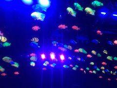 -三亚千古情景区游客中心-接待中心