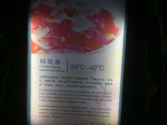 -三亚珠江南田温泉度假区