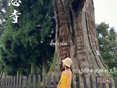 -云中大漈