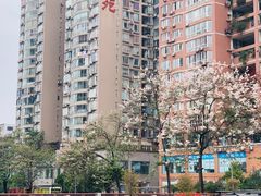 -红星桥(地铁站)