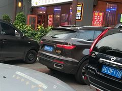 -新概念来凤鱼(璧山店)