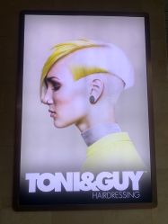 点击看大图 -TONI&GUY