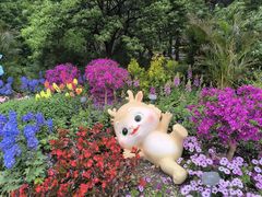 -国家植物园