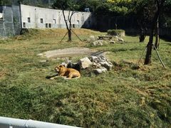 -西安秦岭野生动物园