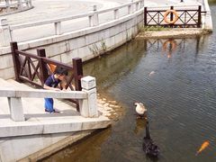 -白马涧龙池景区