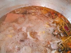 -福源药膳鸡(天润城店)