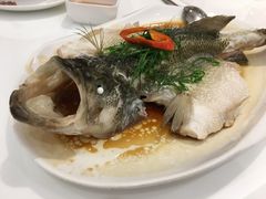 -至潮餐厅精致粤菜·活鲈鱼·走地鸡(珠江新城店)