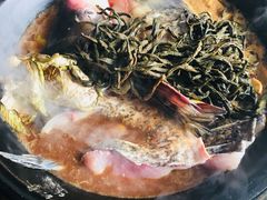 胖头鱼头-姥家大锅台水库渔家