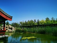 -西海子公园