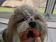 -春花秋色城市公园