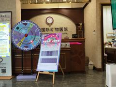 -宠爱国际动物医院· 猫科· 外科·中兽医(长白店)