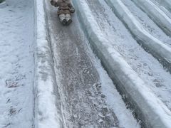 -沈阳奥体冰雪嘉年华