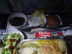 -德国汉莎航空公司