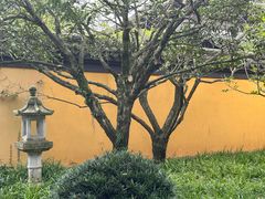 -慧因高丽寺