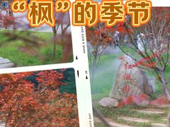 -广州市帽峰山景区