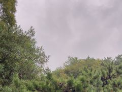 -狼山风景名胜区