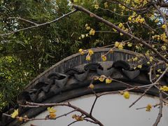 -上海醉白池公园