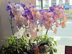 -上名堂·鱼头好吃(体育场路店)