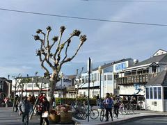 -阿尔卡特拉斯岛