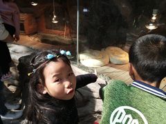 -南昌动物园