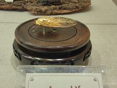 -南京市民俗博物馆(甘熙故居)