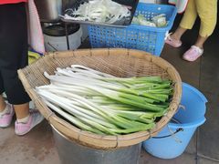 -刘七嬢烧麦刀削面