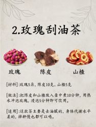 -Fundi张玉珊修身堂·indiba·BTL科技瘦身
