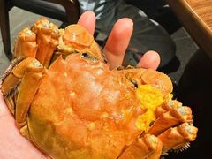 -欢乐蟹庄·精品农家乐(阳澄湖莲花岛店)
