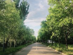 -朝阳体育中心