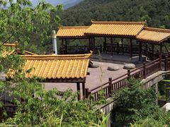 -铁山坪森林公园