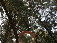 -云龙山