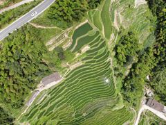 -紫鹊界梯田景区