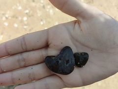 -东戴河风景区-止锚湾