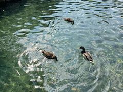 -水磨沟公园