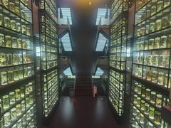-广东中医药博物馆